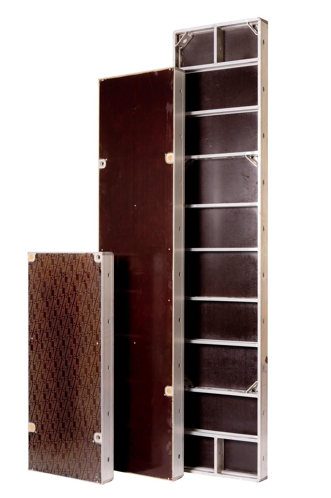 Panou metalic Bauframe 90x270